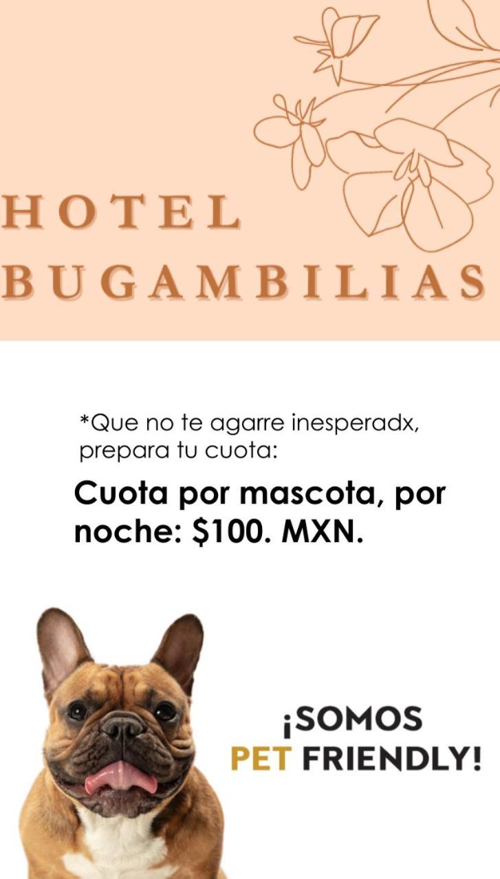 Hotel Bugambilias Oaxaca Εξωτερικό φωτογραφία